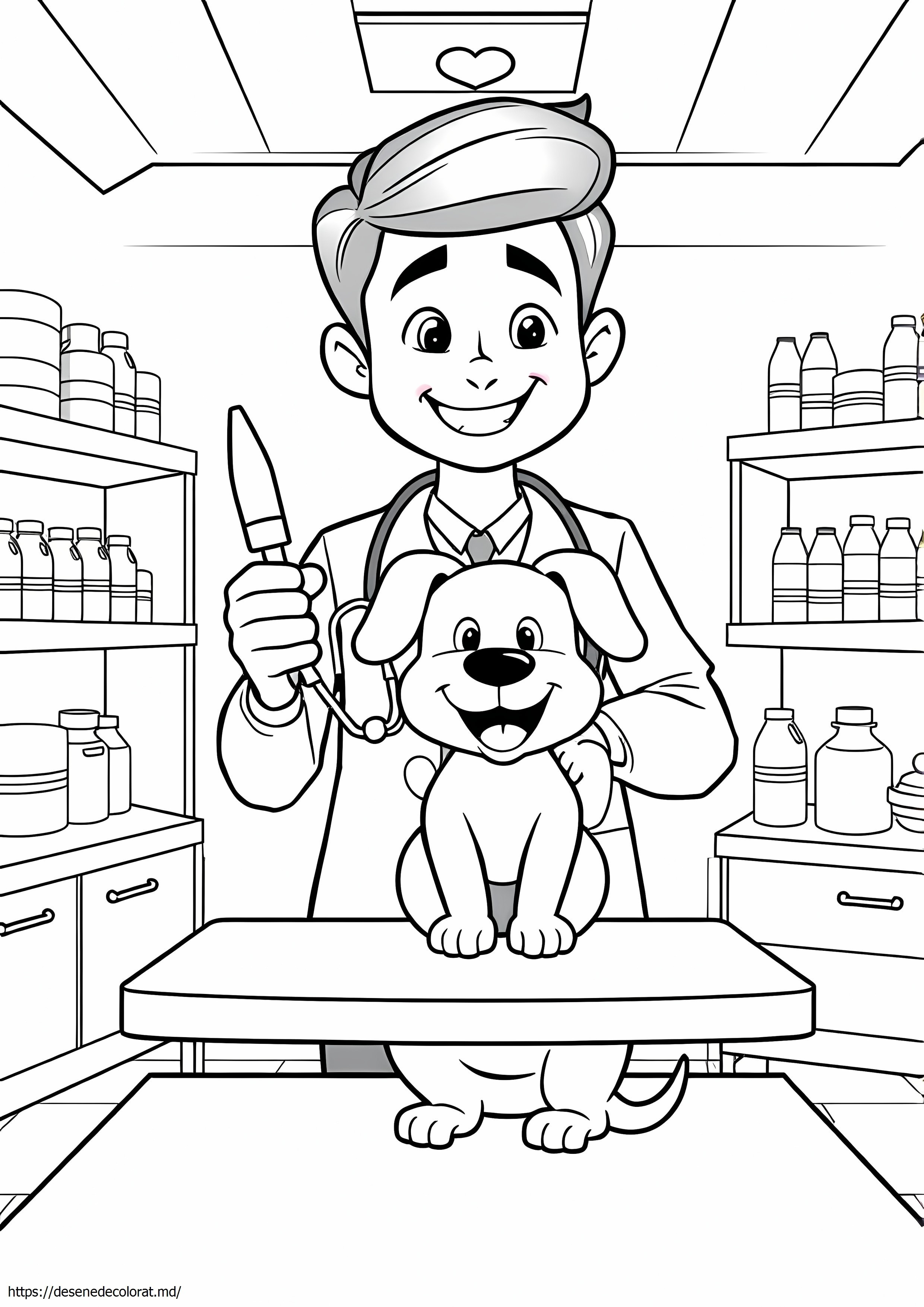 Medic veterinar