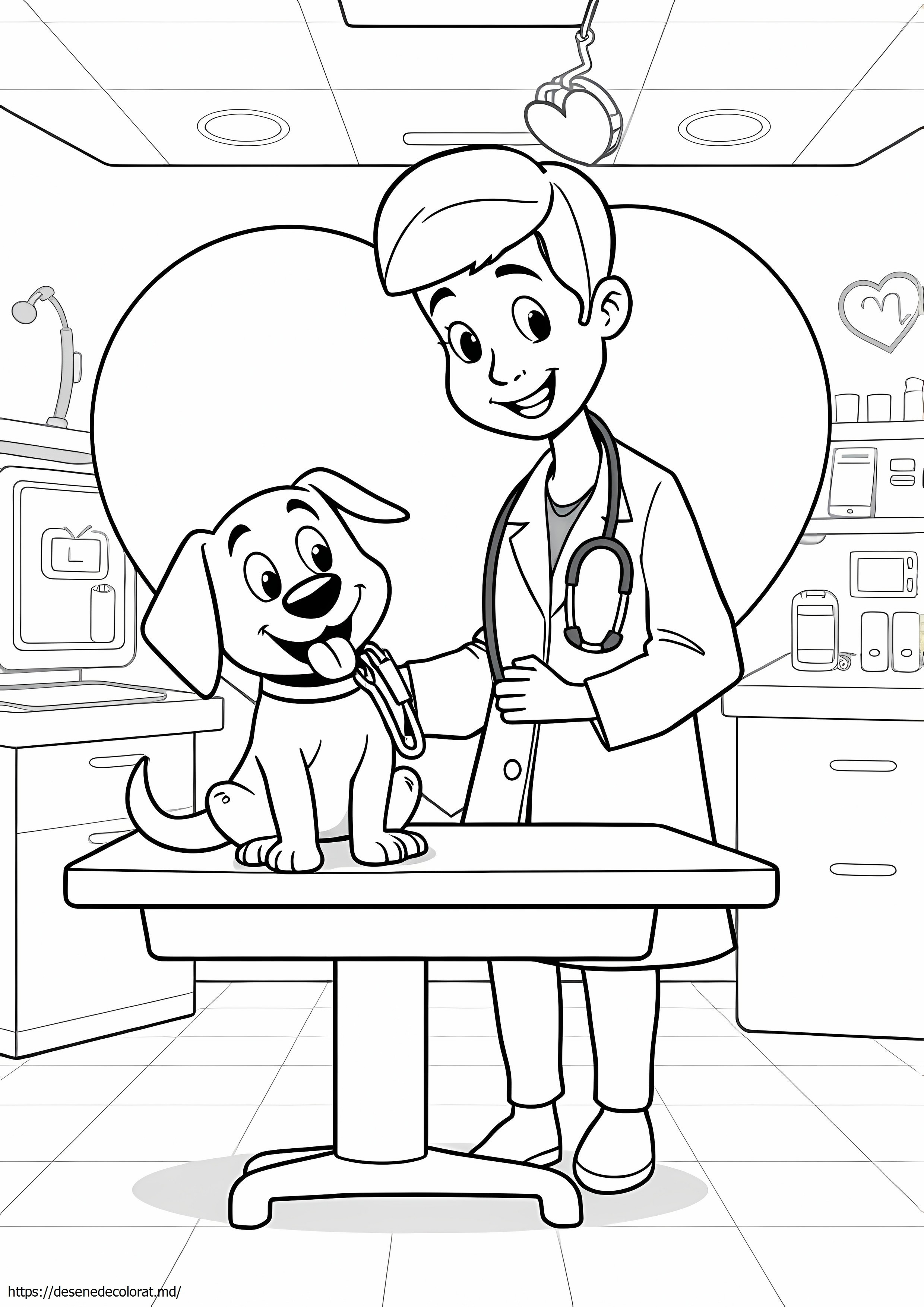 Veterinar