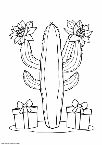 Cactus de Crăciun