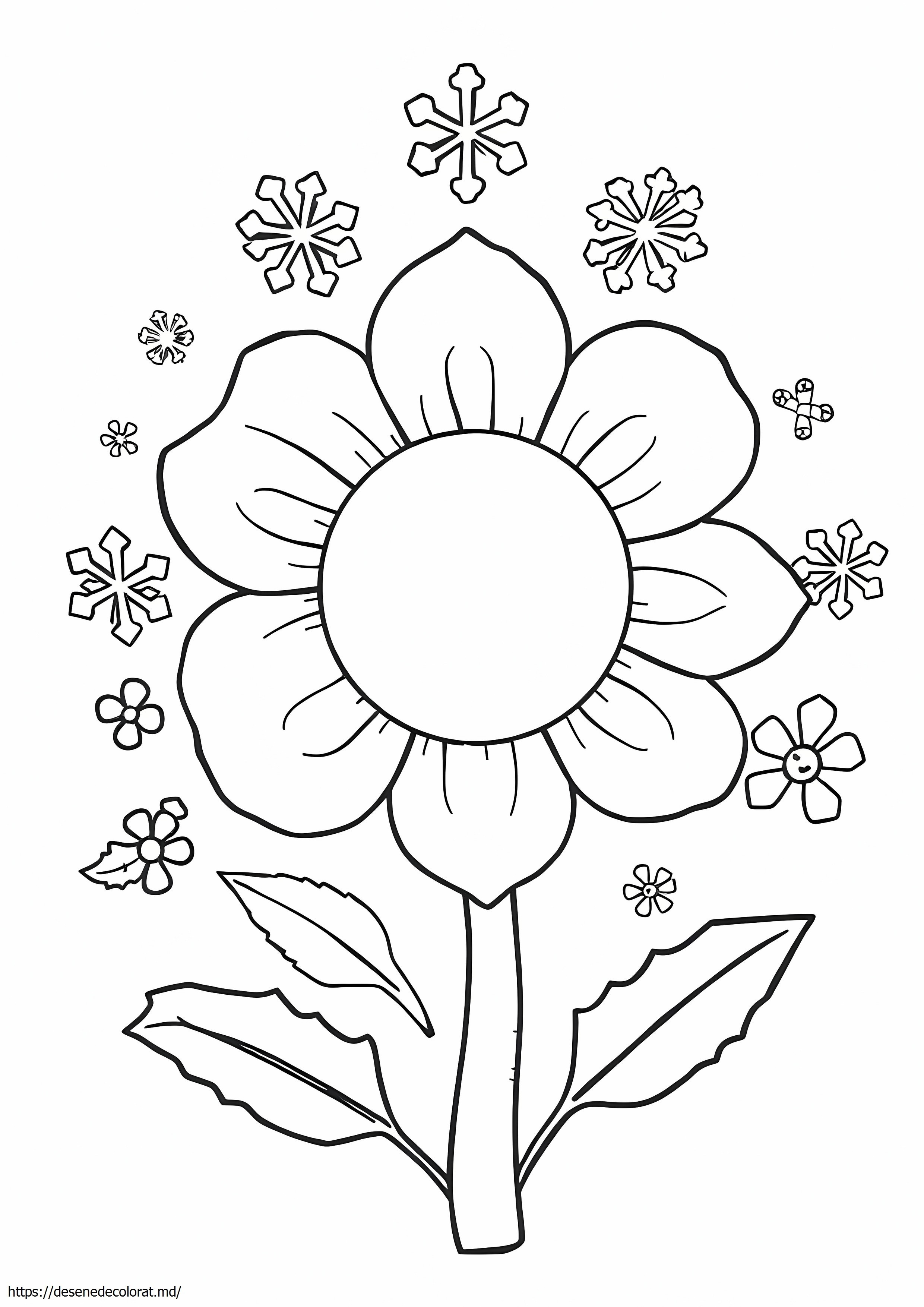 Floare de craciun