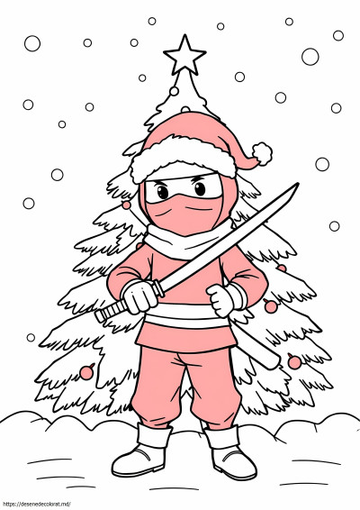 Ninja de Crăciun