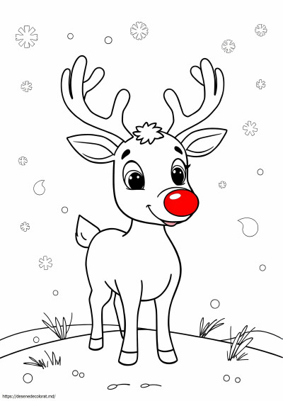 Drăguț Rudolph