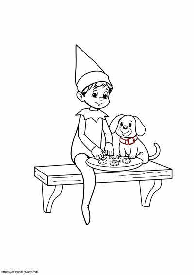 Elf pe raft animal de companie
