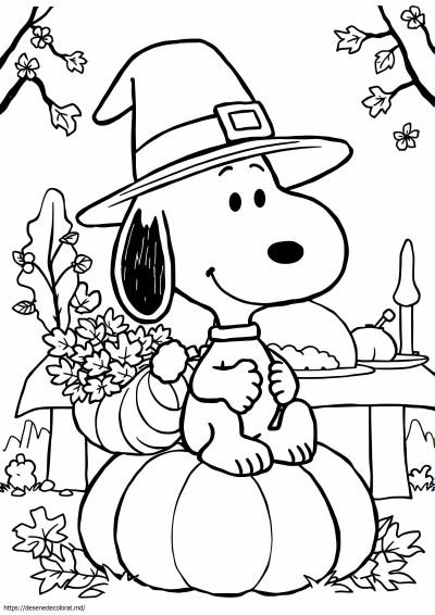 Mulțumire snoopy
