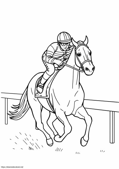 Mătase derby