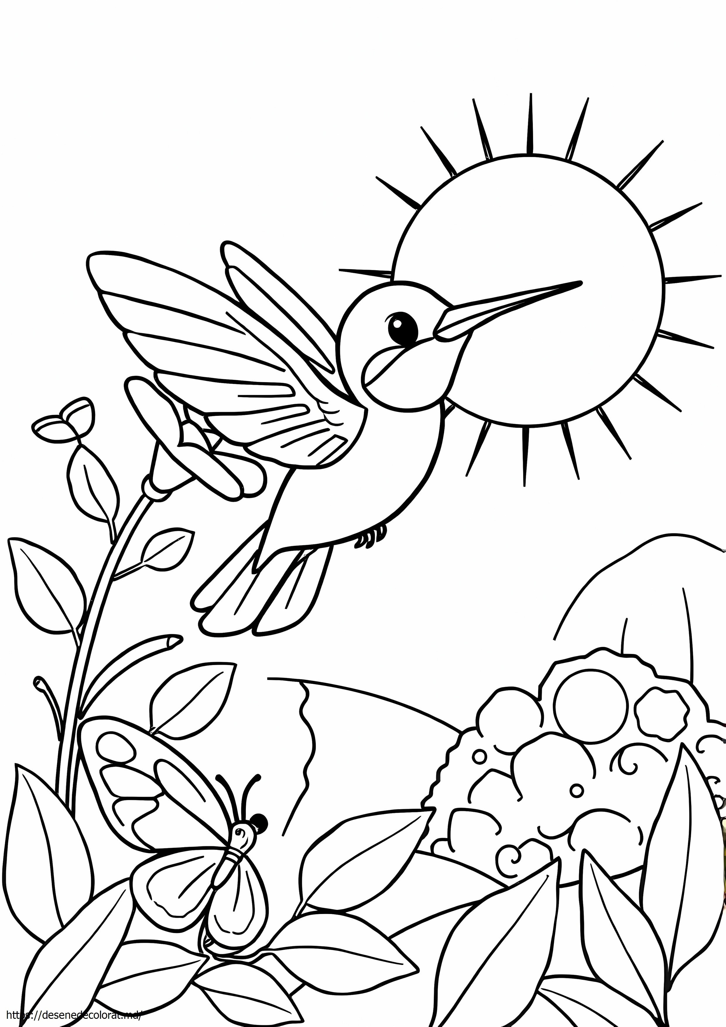 Colibri