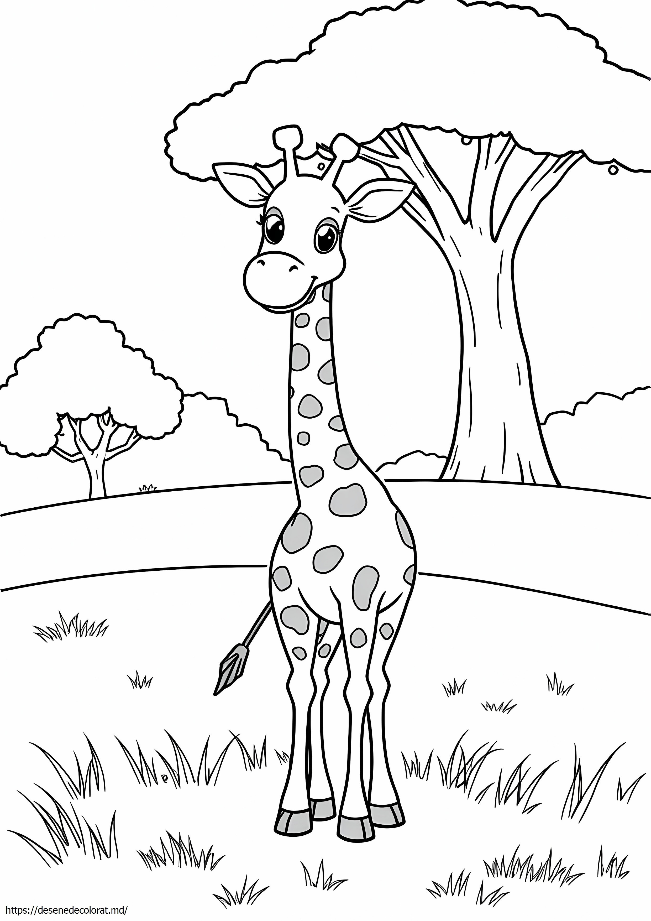 Girafa fara pete