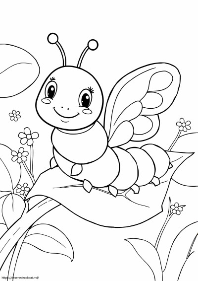 Catapillar