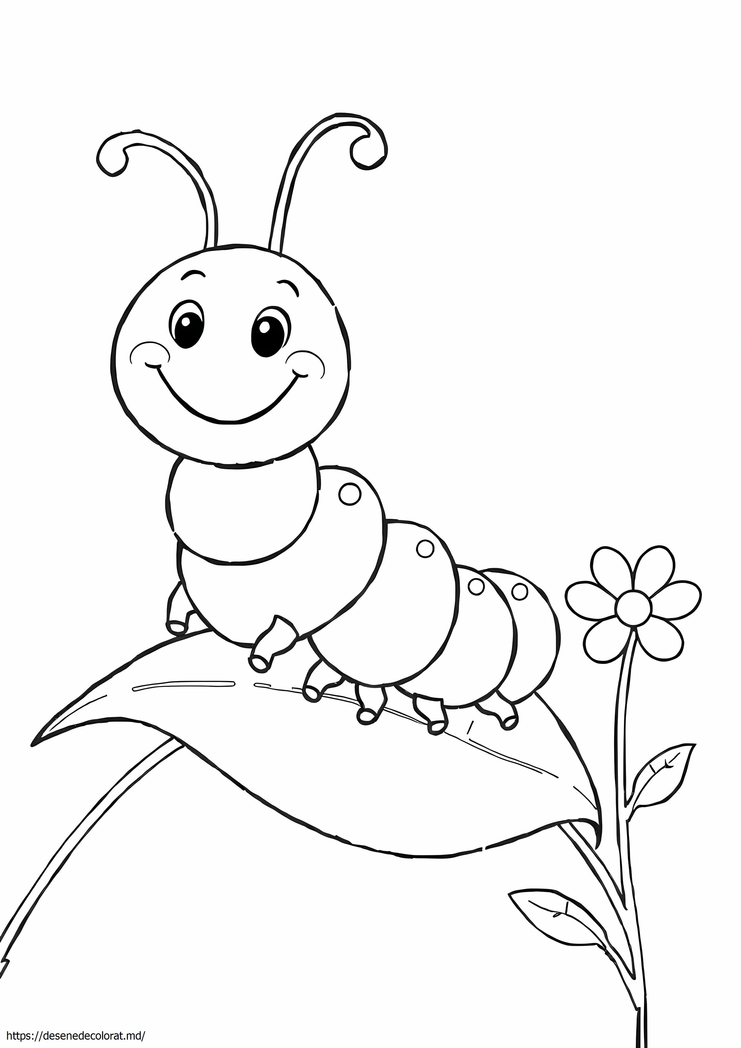 Catepilara