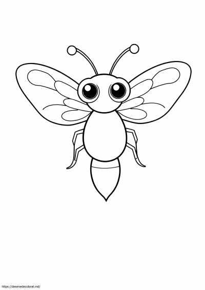 Licurici