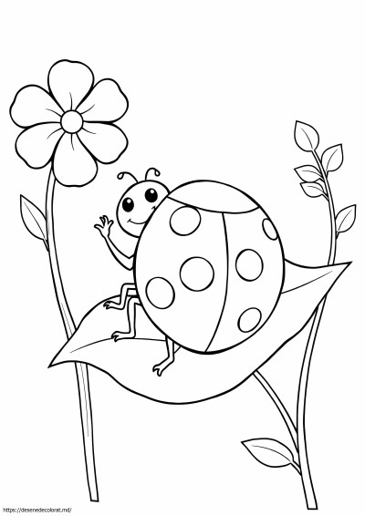Buburuza