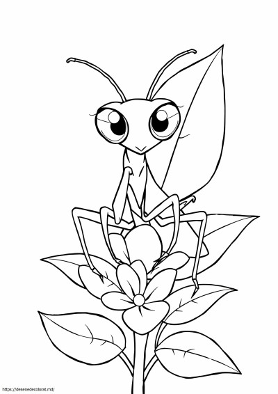 Mantis