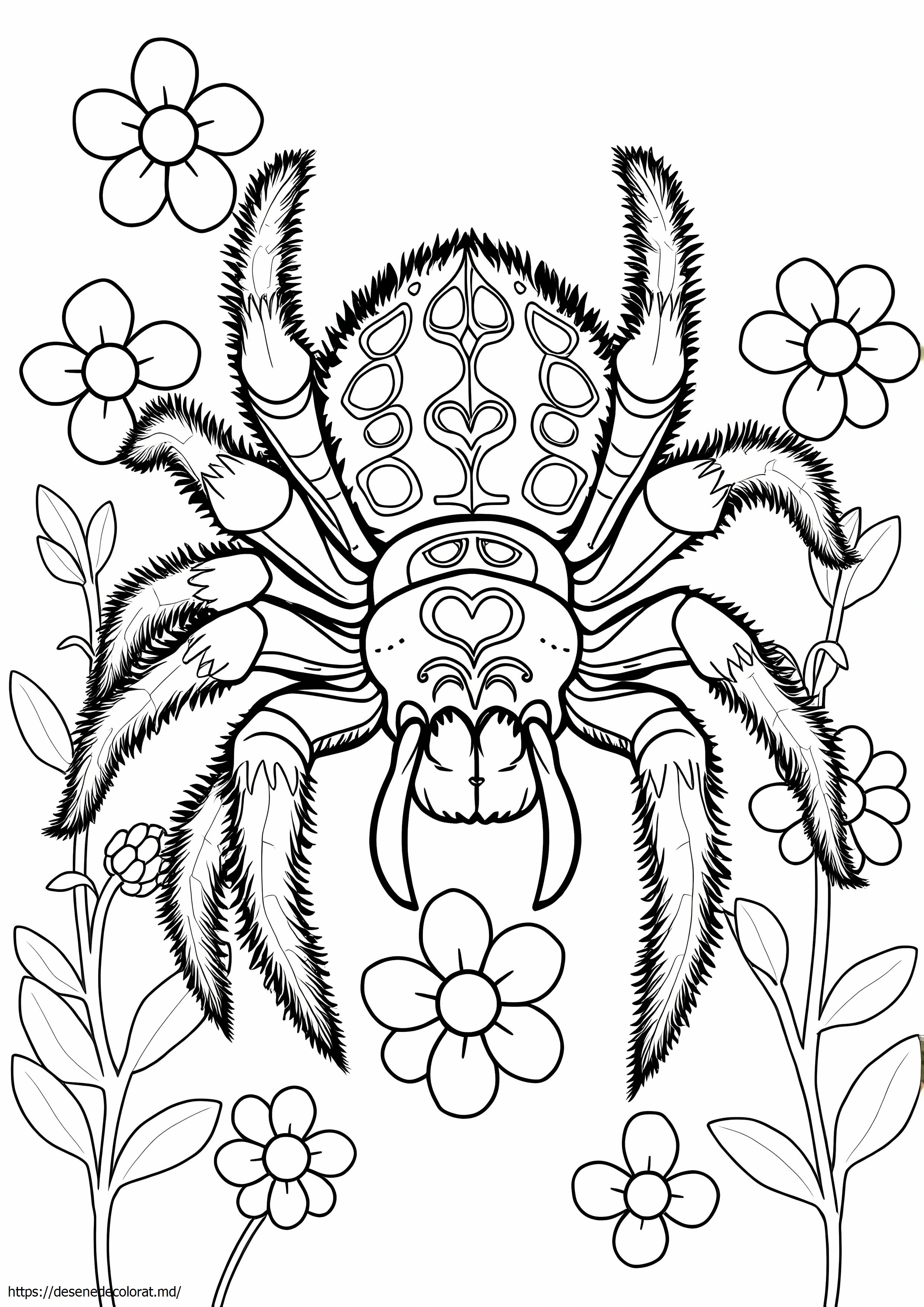 Tarantula realistă
