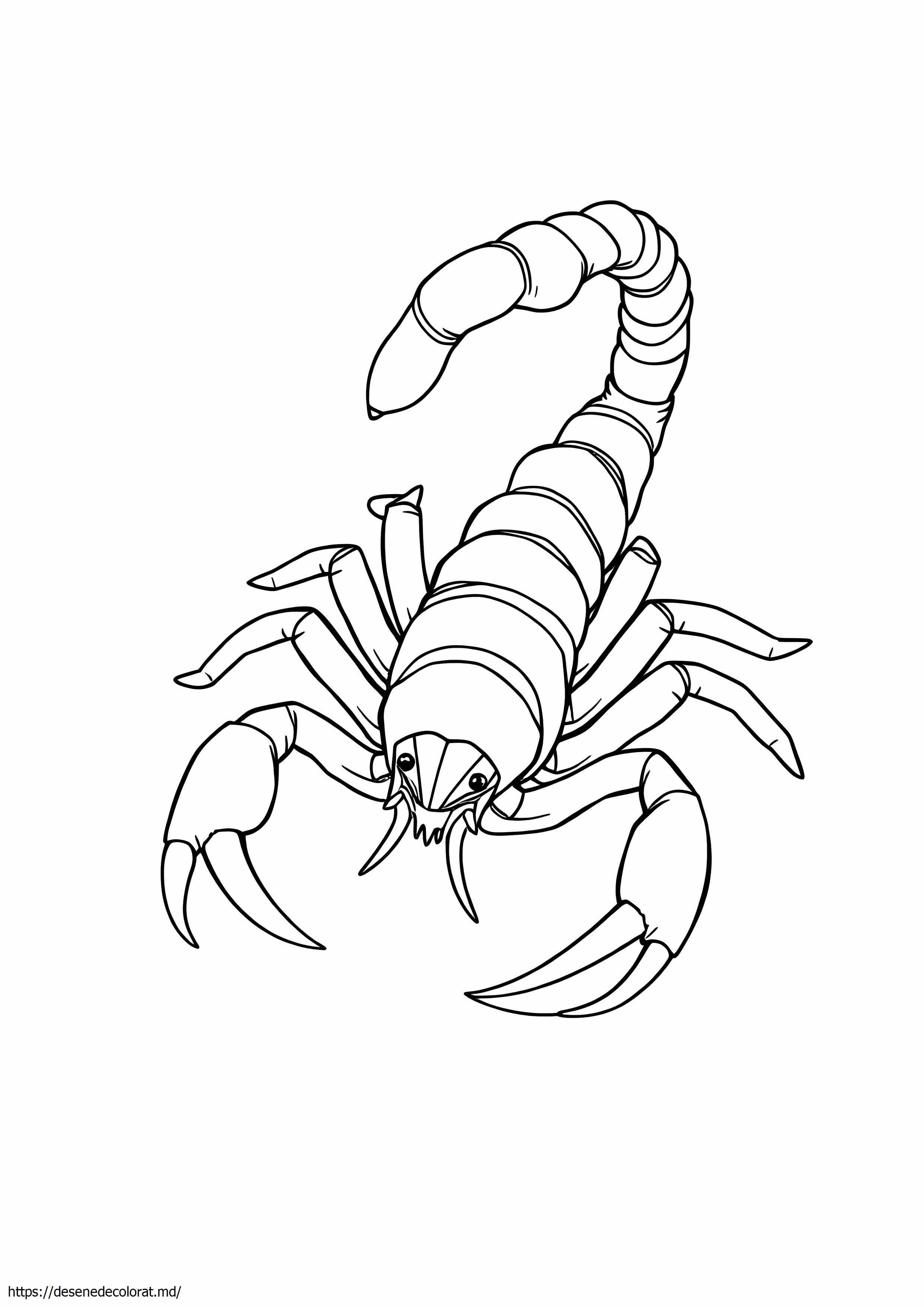 Scorpion realist
