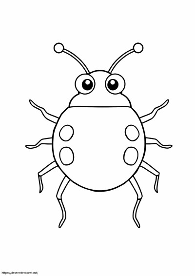 Bug simplu