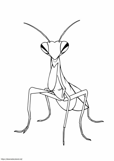 Mantis rugător realistă