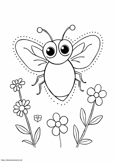 Musca simpla