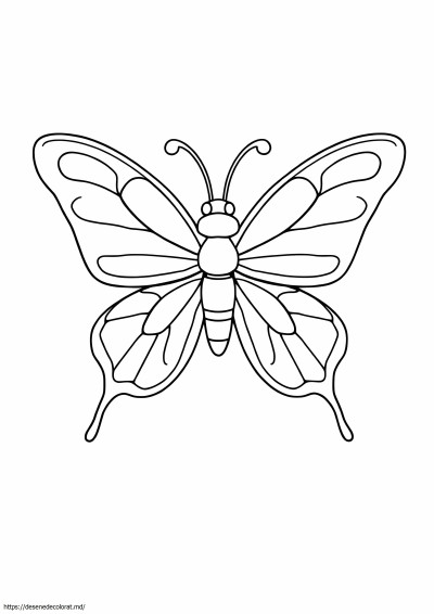 Musca de unt