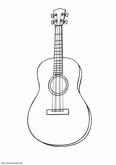 Chitara acustica