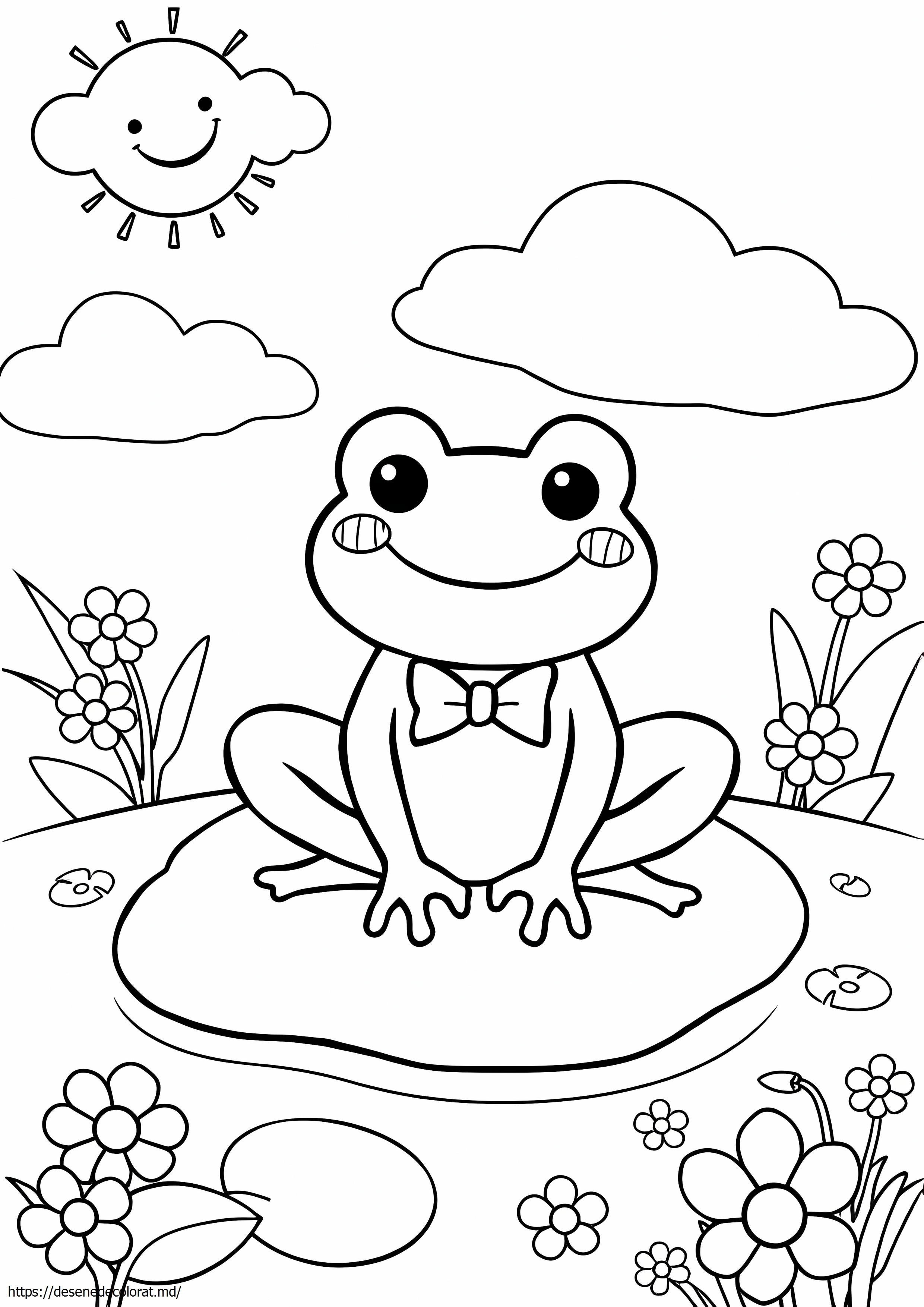 Drăguță broască kawaii