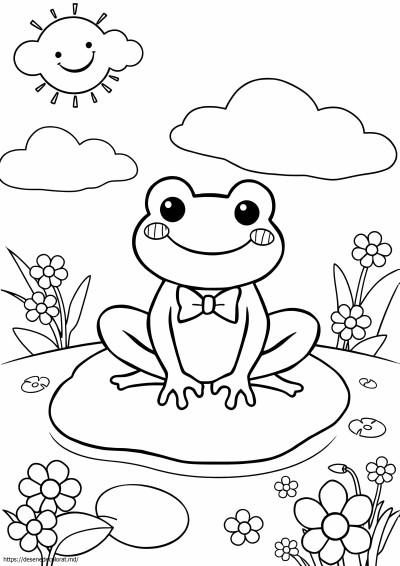 Drăguță broască kawaii