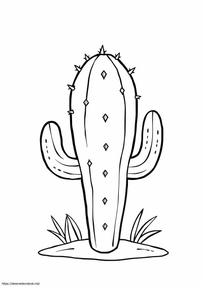 Cactus ușor