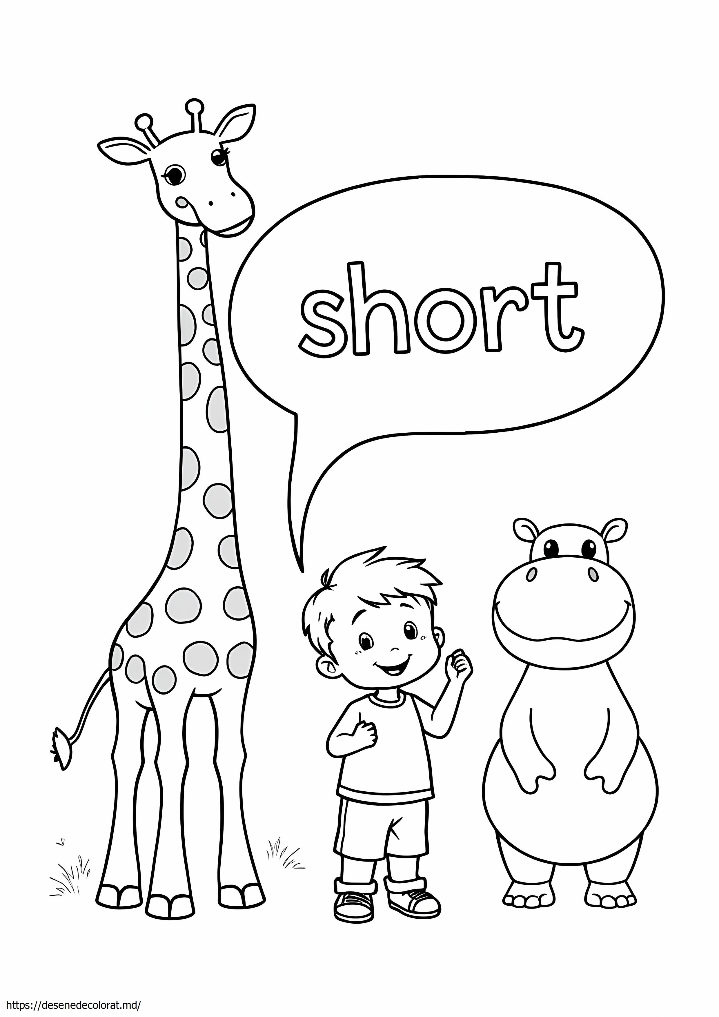 Scurt