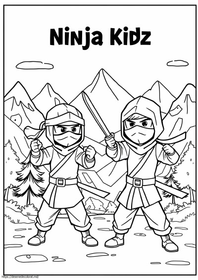 Ninja kidz