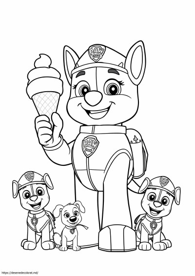 Paw patrol jumbo