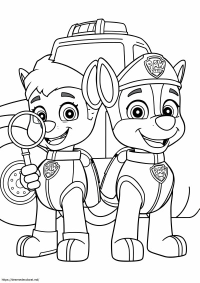 Paw patrol ryder and chase
