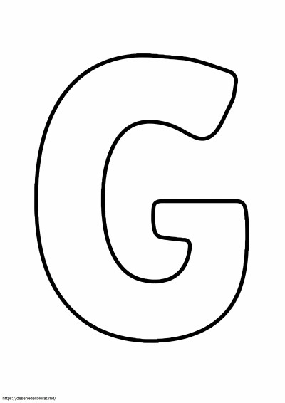 Litera g
