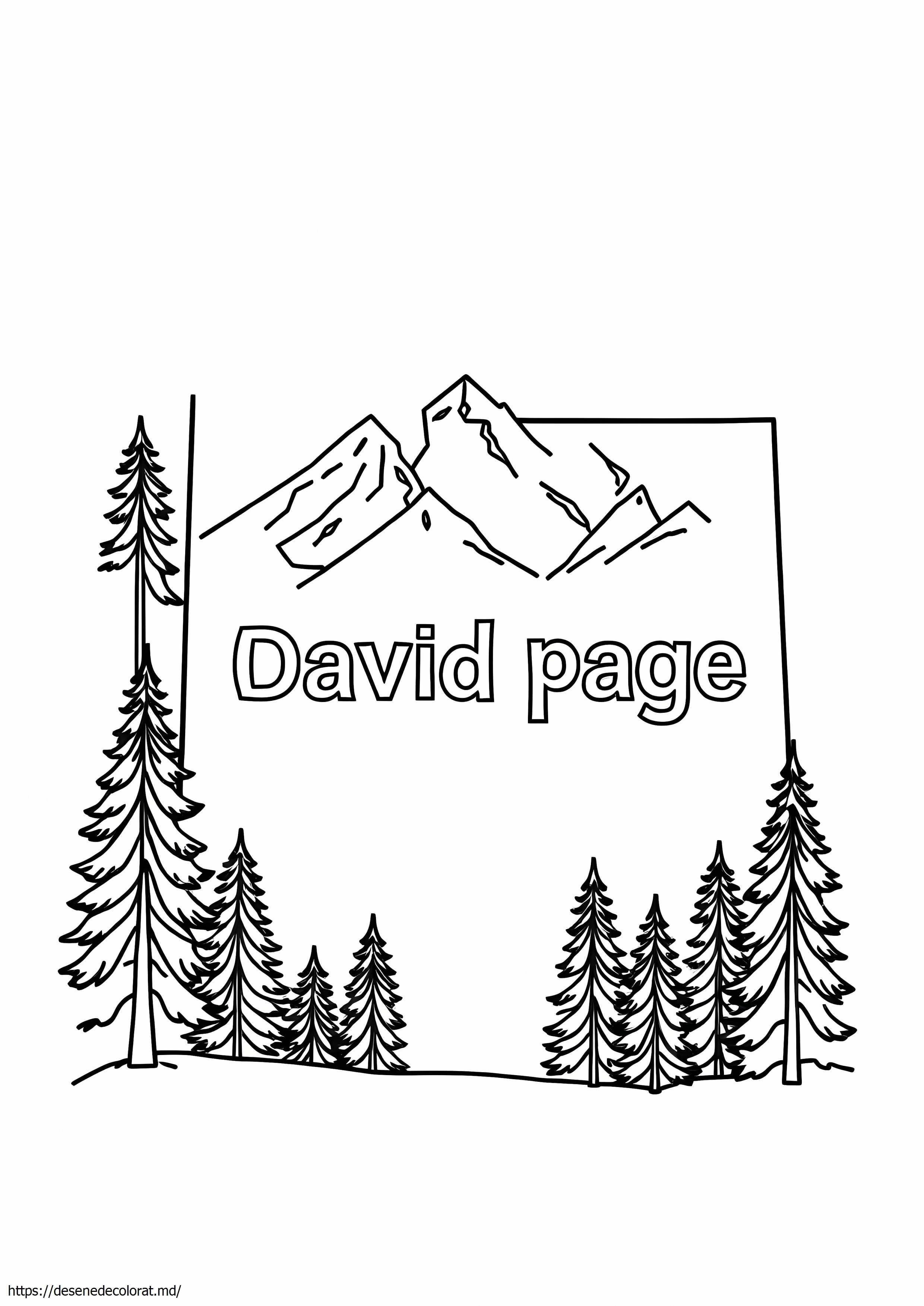 David page colorado