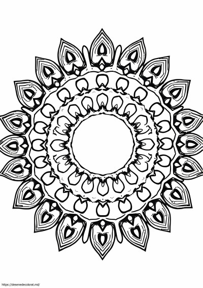 2019 mandala