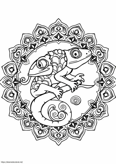 Mandala cameleon