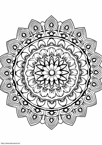 Frumoasa mandala