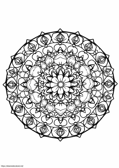 Mandala alimentară