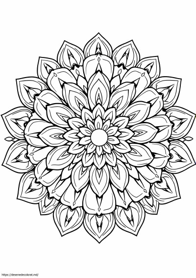 Mandala de flori intreaga pagina