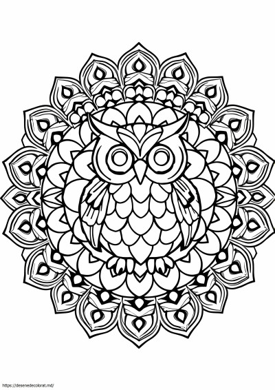 Mandala bufniță