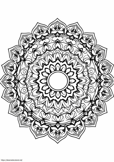7 pagini muda colorate