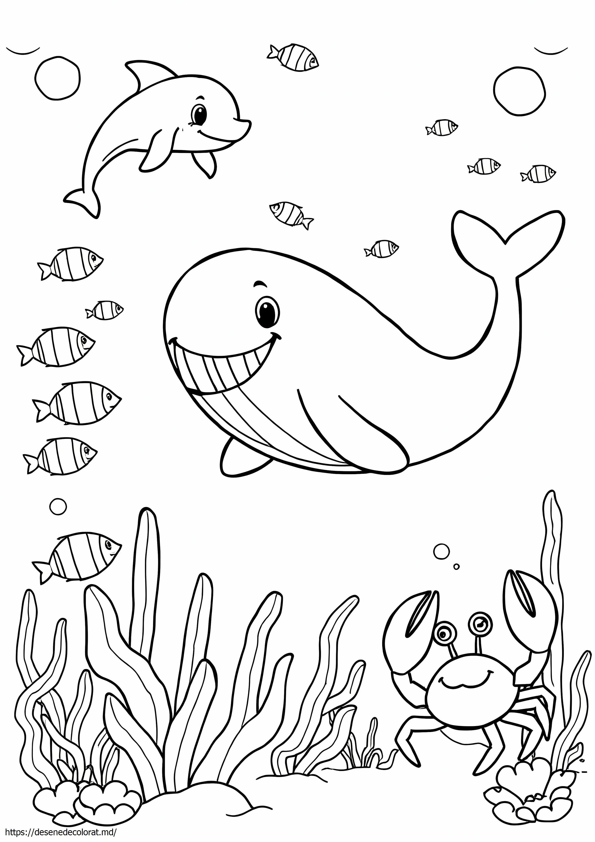 Animale din mare