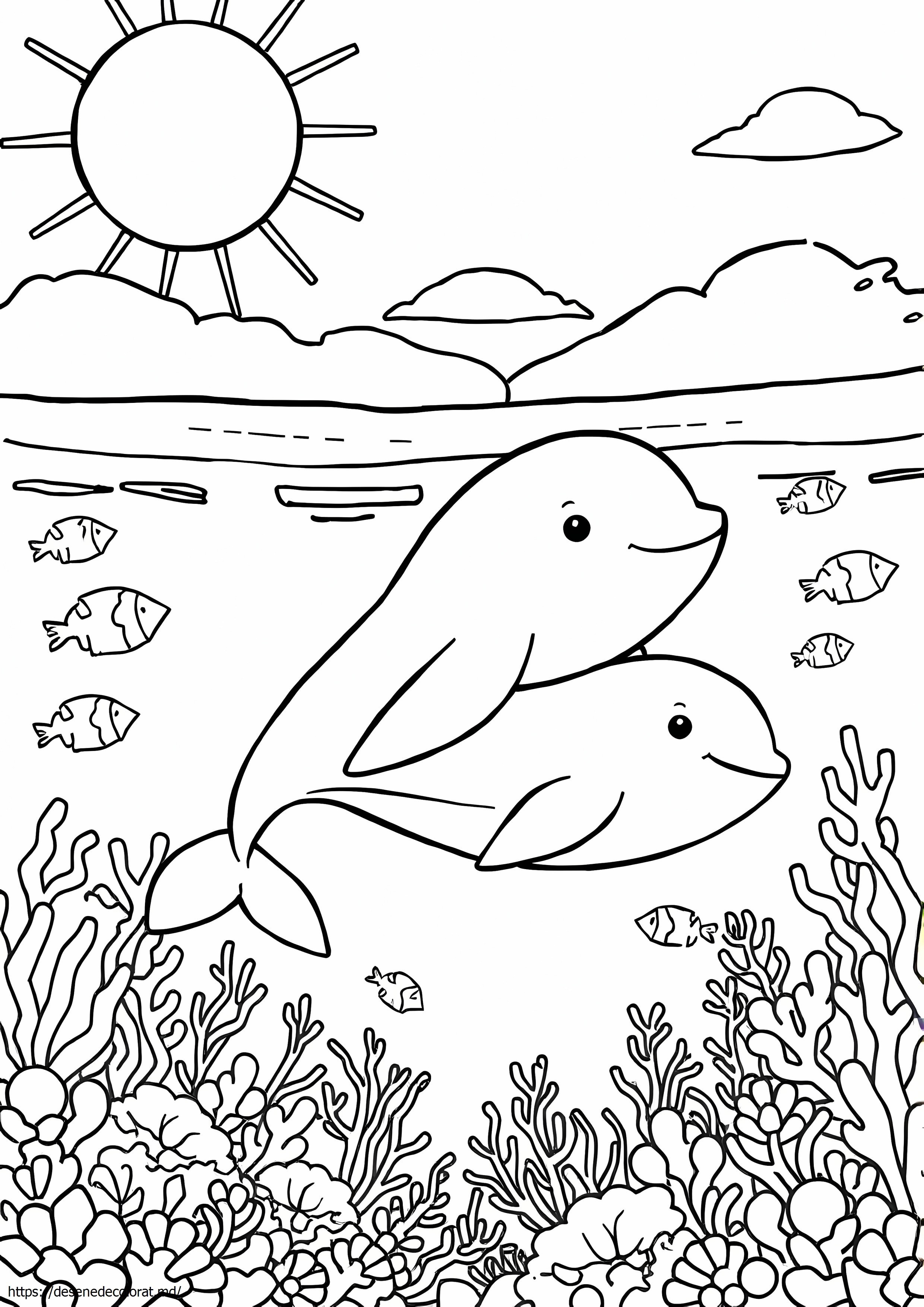 Baby beluga