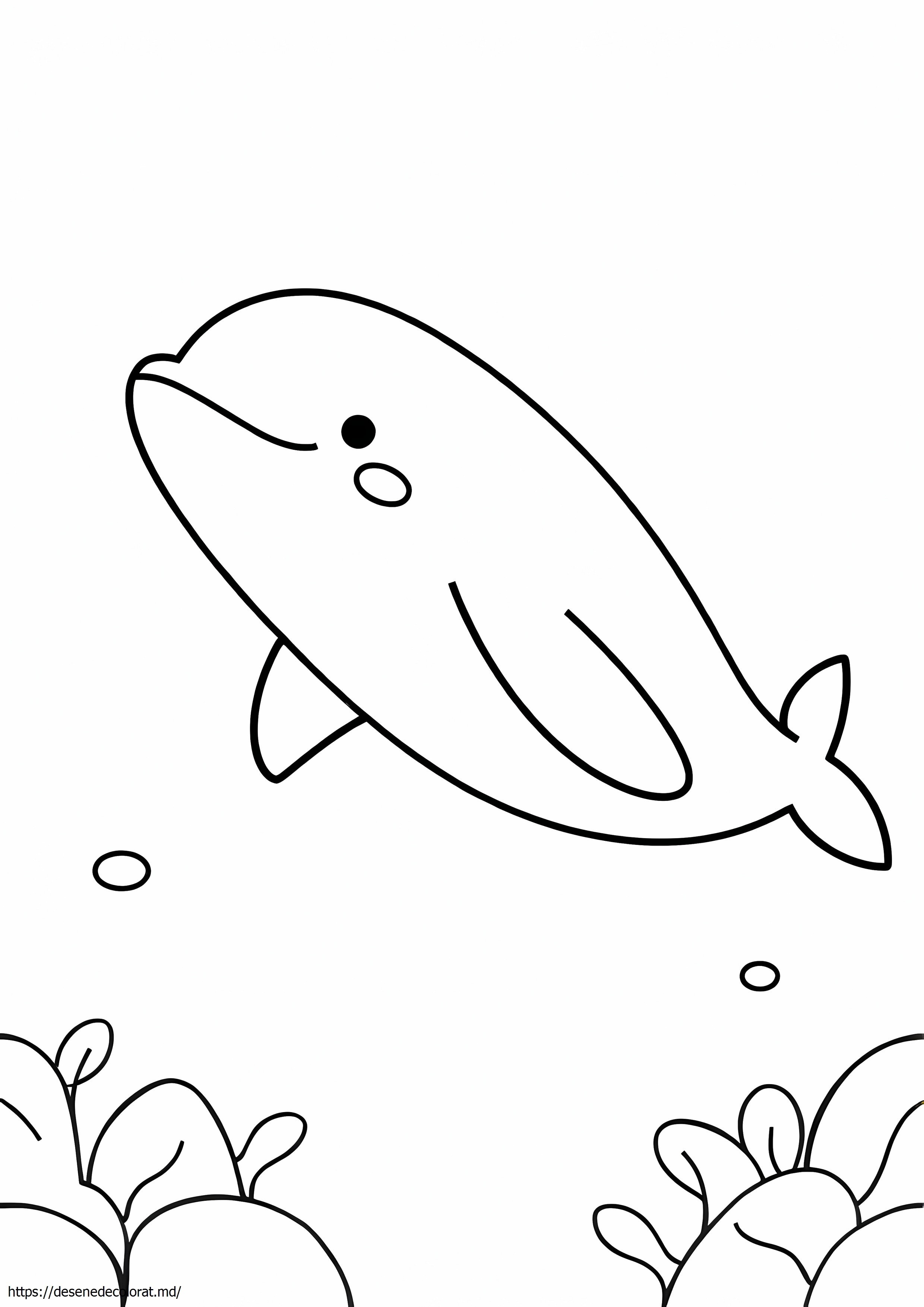 Beluga