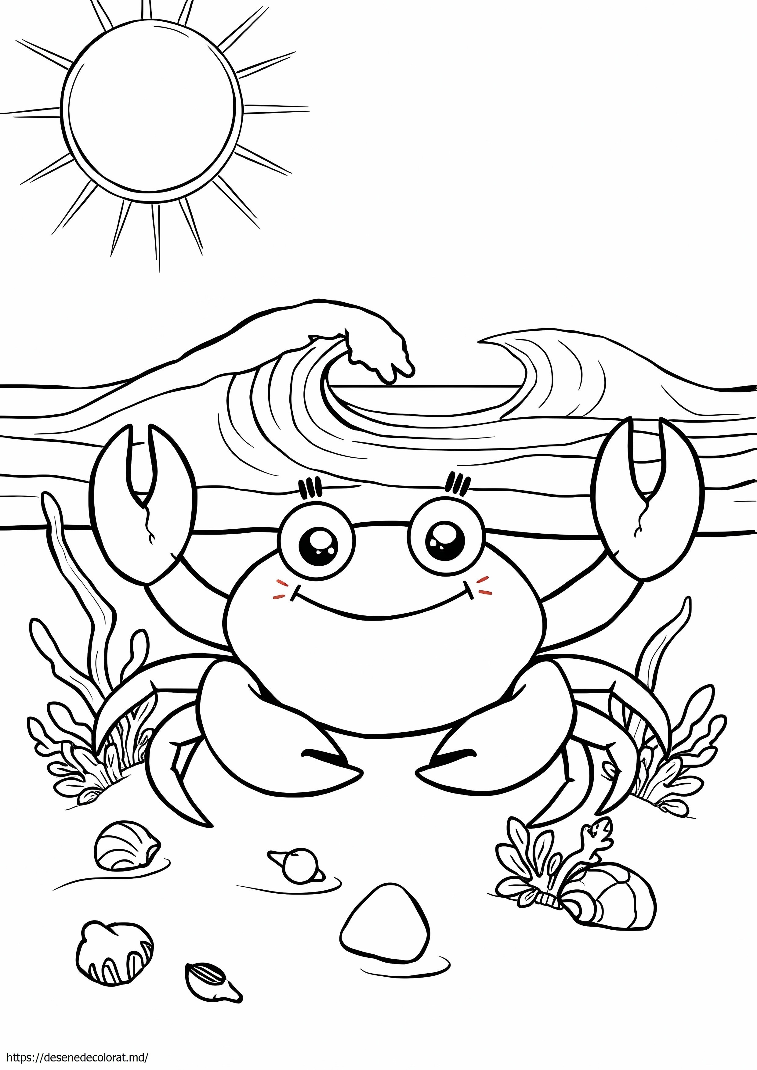 Animal de plajă