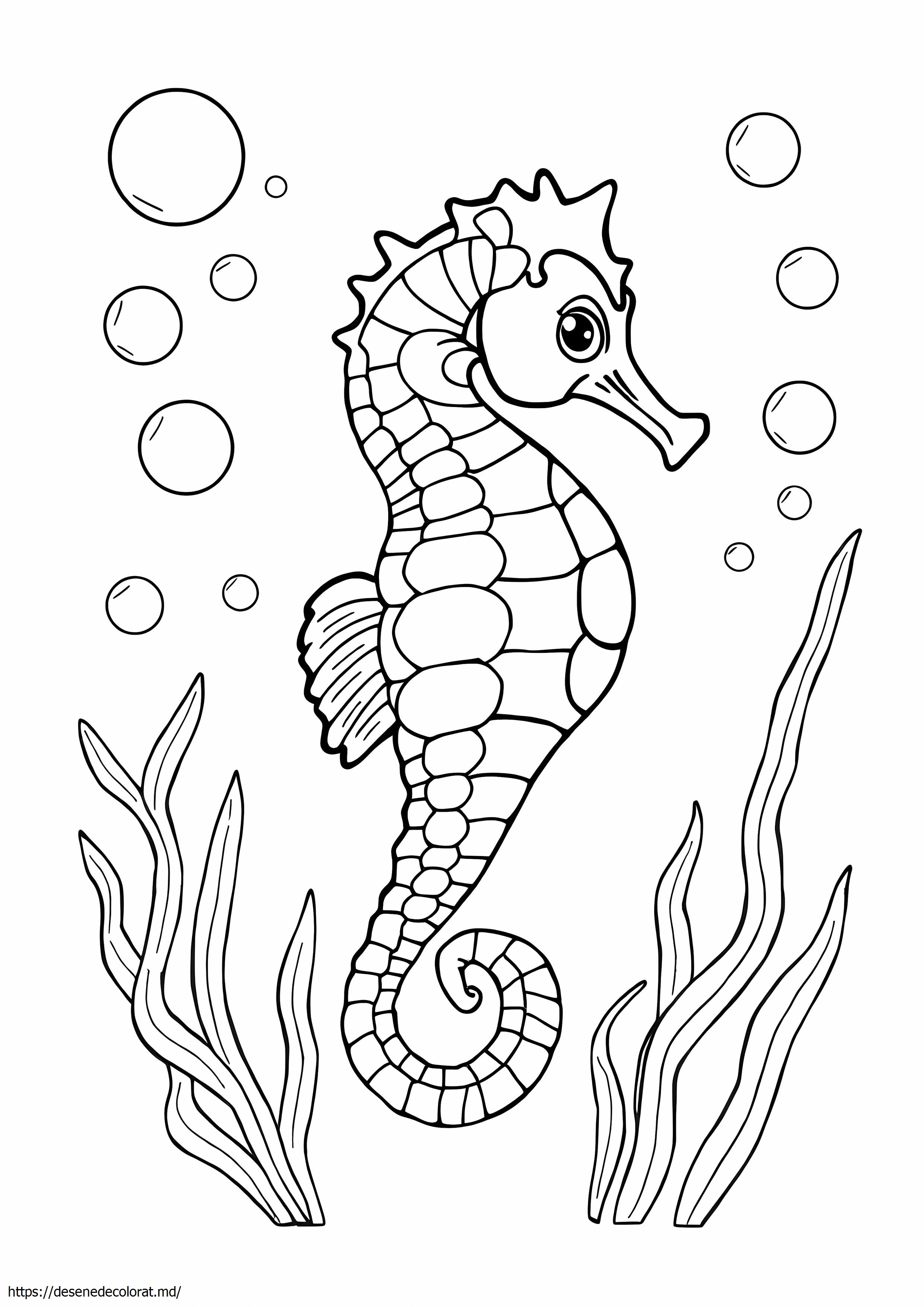 Cal de mare detaliat