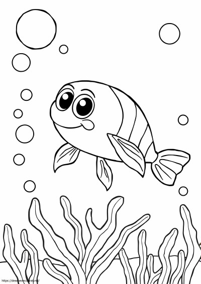 Krill