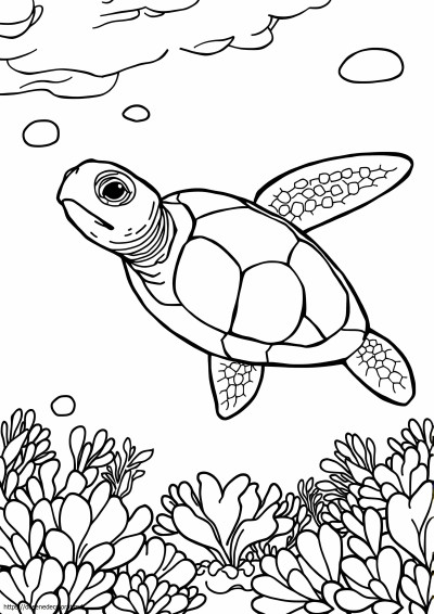 Broasca testoasa de mare