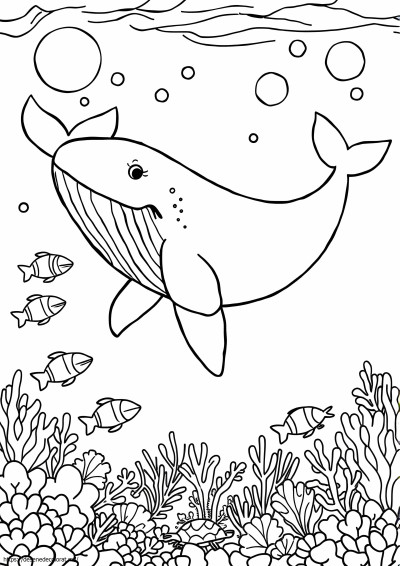 Animal oceanic
