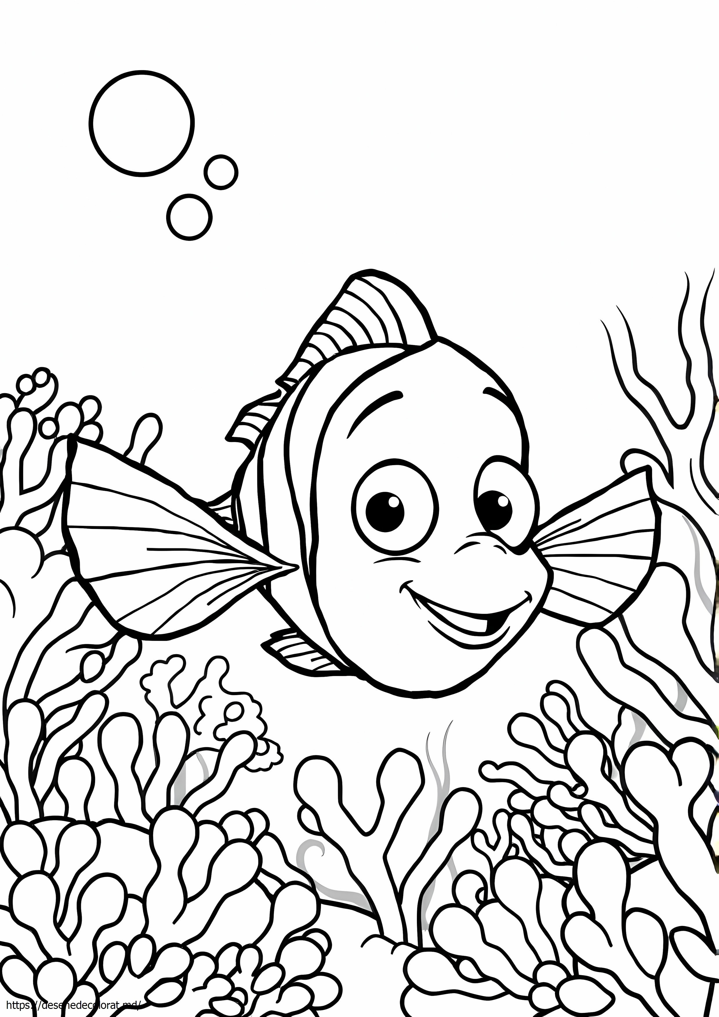 Pește nemo