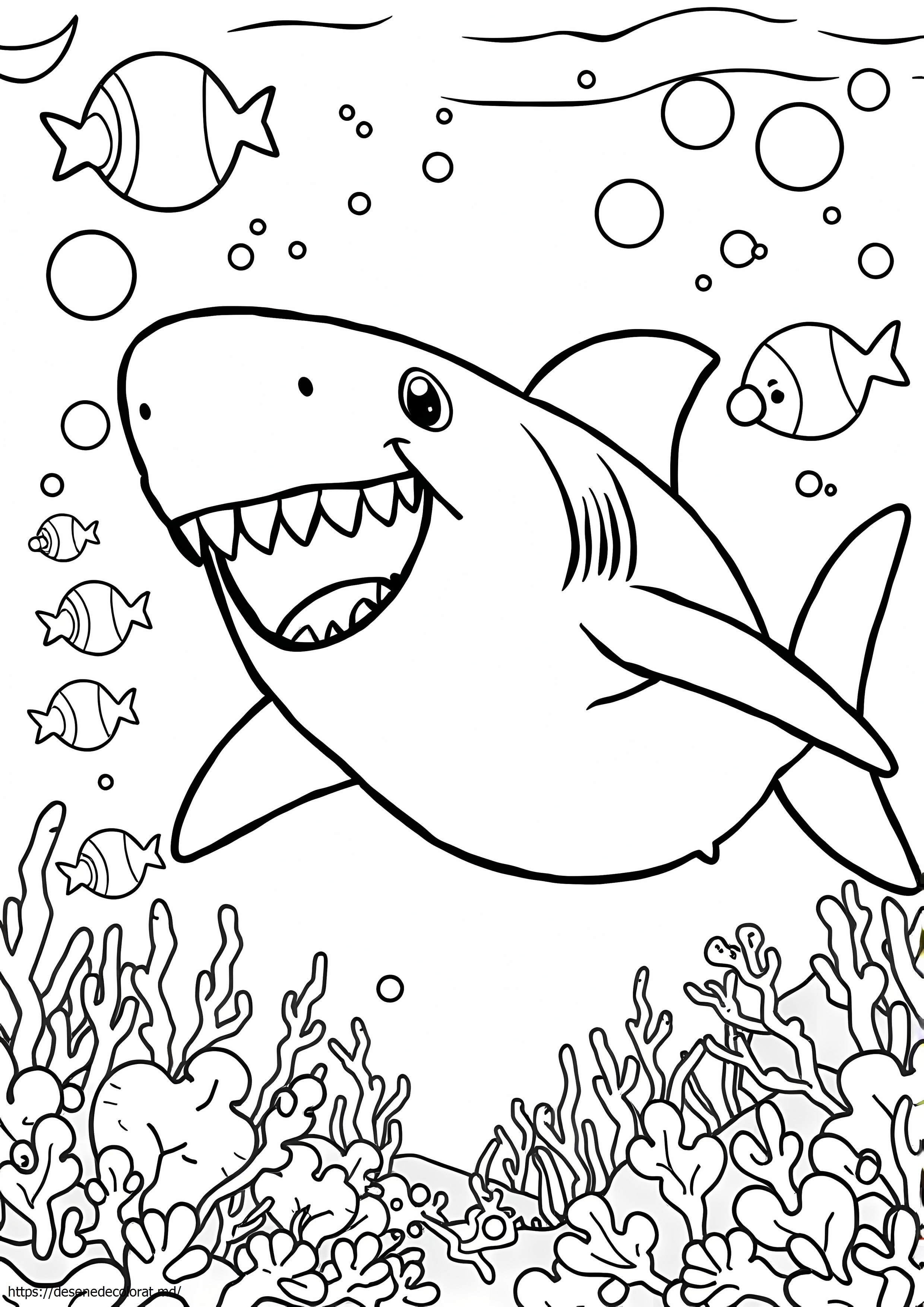 Rechin megalodon