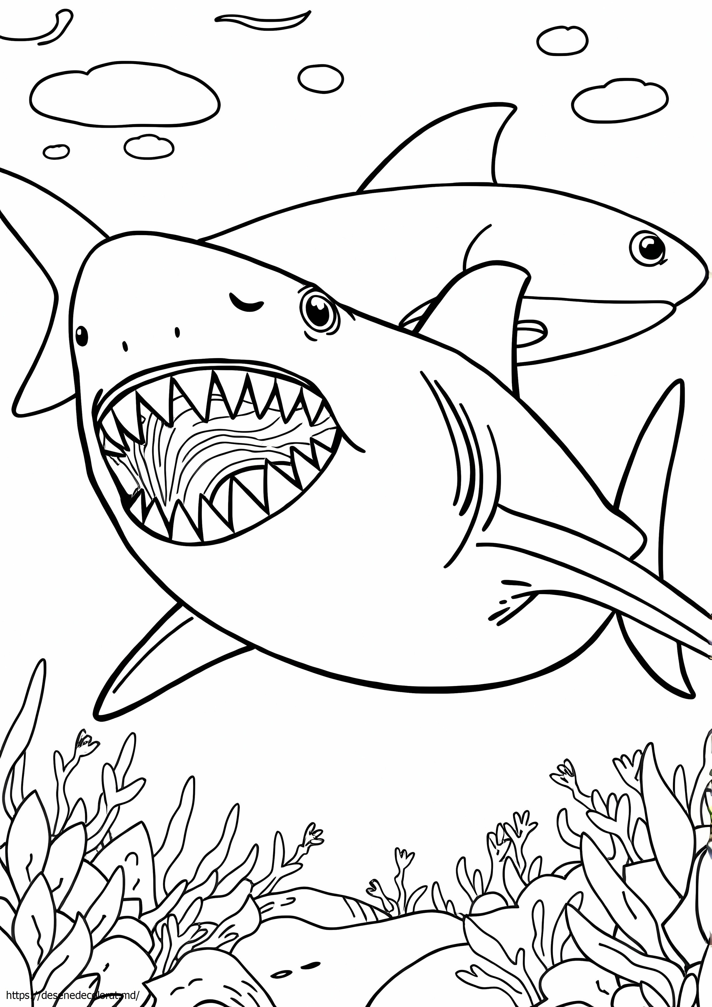 Rechin megladon